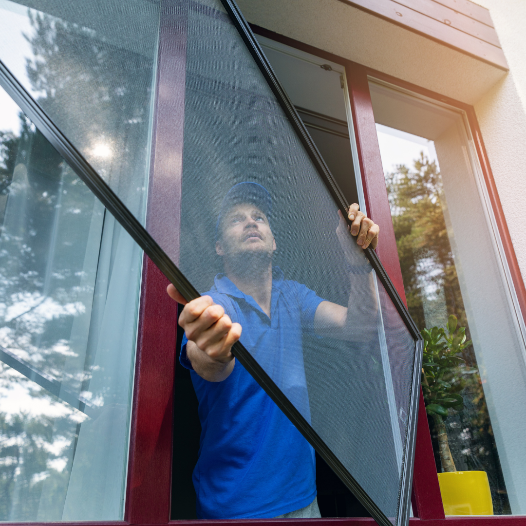 Professional Net Installation